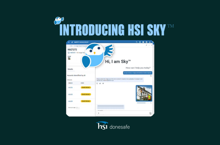 Introducing HSI Sky